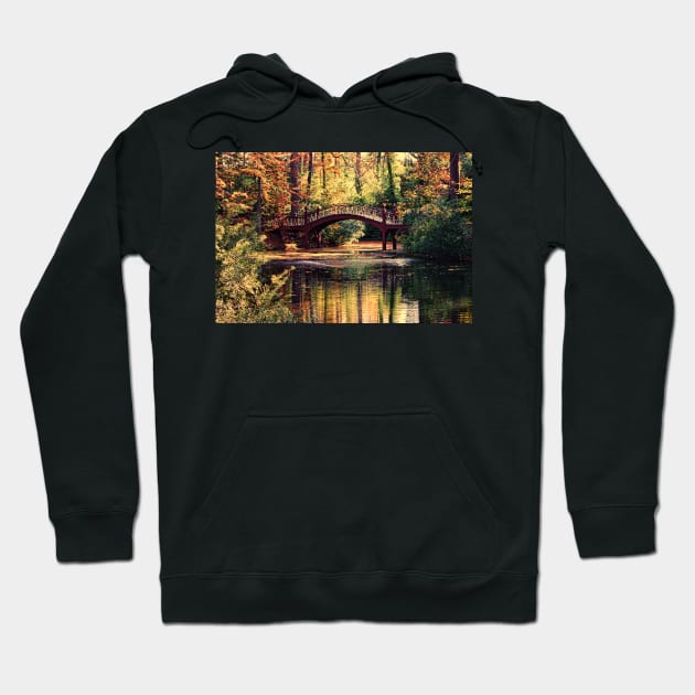 Crim Dell Bridge, William & Mary Hoodie by tgass